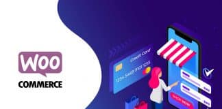 Principais Métodos de pagamento WooCommerce para sua Loja Virtual