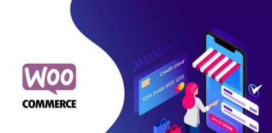 Principais Métodos de pagamento WooCommerce para sua Loja Virtual