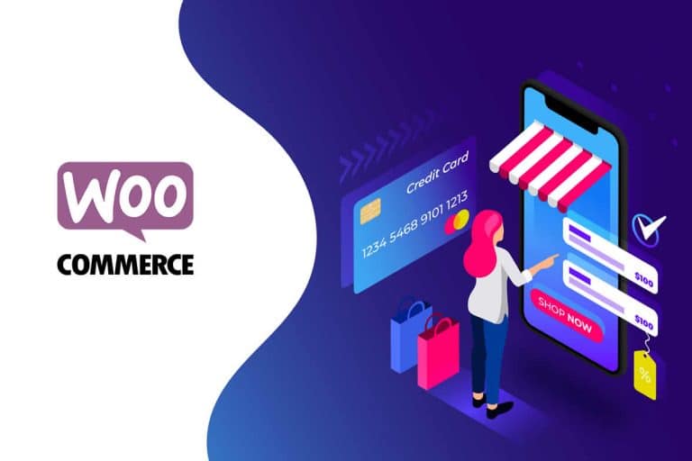Principais Métodos de pagamento WooCommerce para sua Loja Virtual