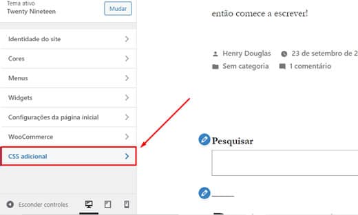 Opção CSS Adicional no Personalizador de Tema