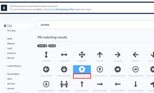 Exibindo ícones manualmente no WordPress