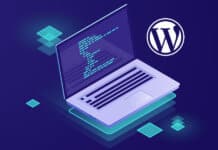 Por que e como criar um plugin WordPress site-específico