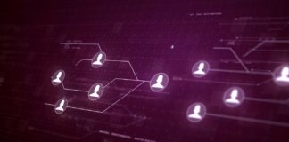 Como Exportar Usuários WordPress: Um Guia Completo Exportar Usuários WordPress