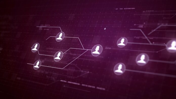 Exportar Usuários WordPress