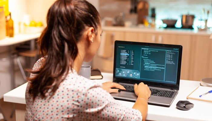 vulnerabilidades de dia zero