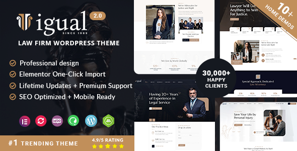 Igual - Lawyer Attorney Law Firm WordPress Theme - tema WordPress