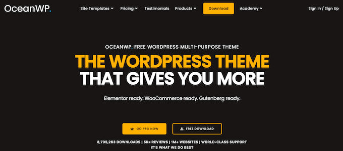 OceanWP homepage